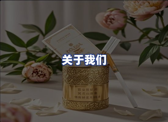 专业团队